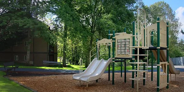 Stone Ridge — Photo 9