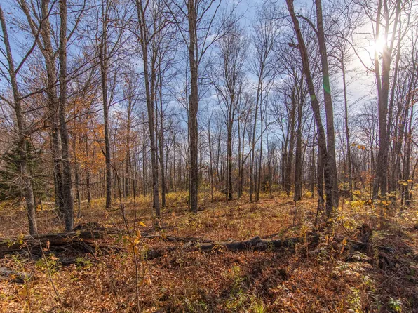Sylvan Acres Rd E, White Lake, WI 54491