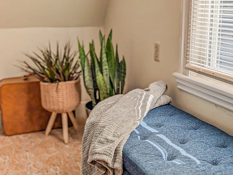 15 Rosseter St #1 — Photo 15
