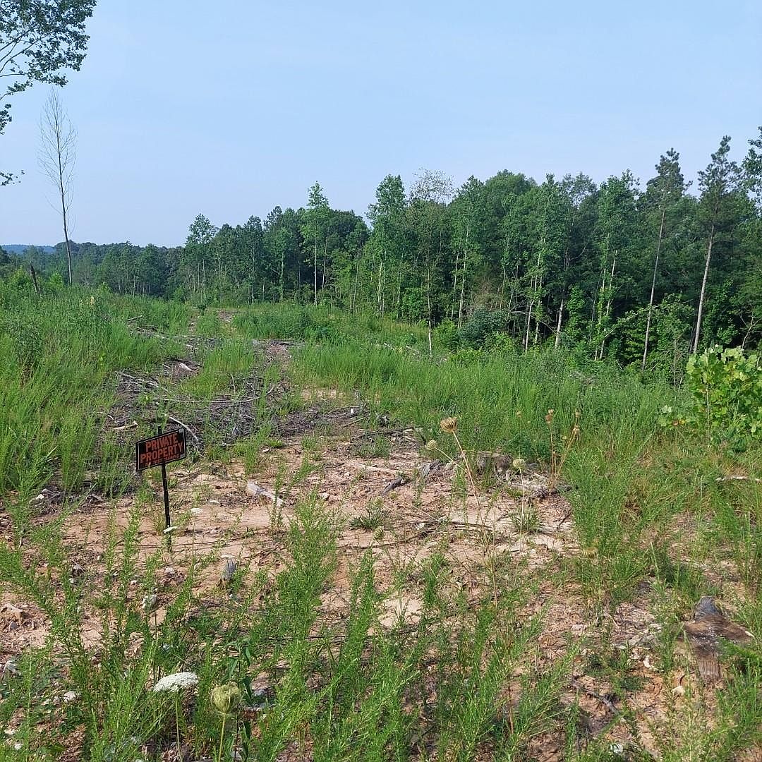 0 Pine Top Rd, Toone, TN 38381 Zillow