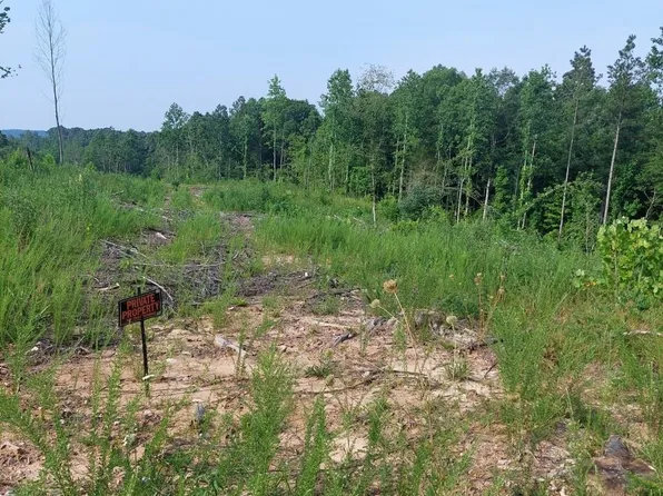 0 Pine Top Rd, Toone, TN 38381