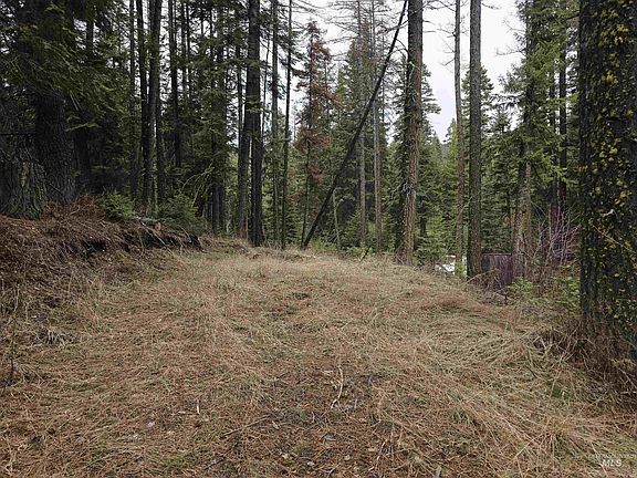 2nd image of 1709 W Mountain Rd