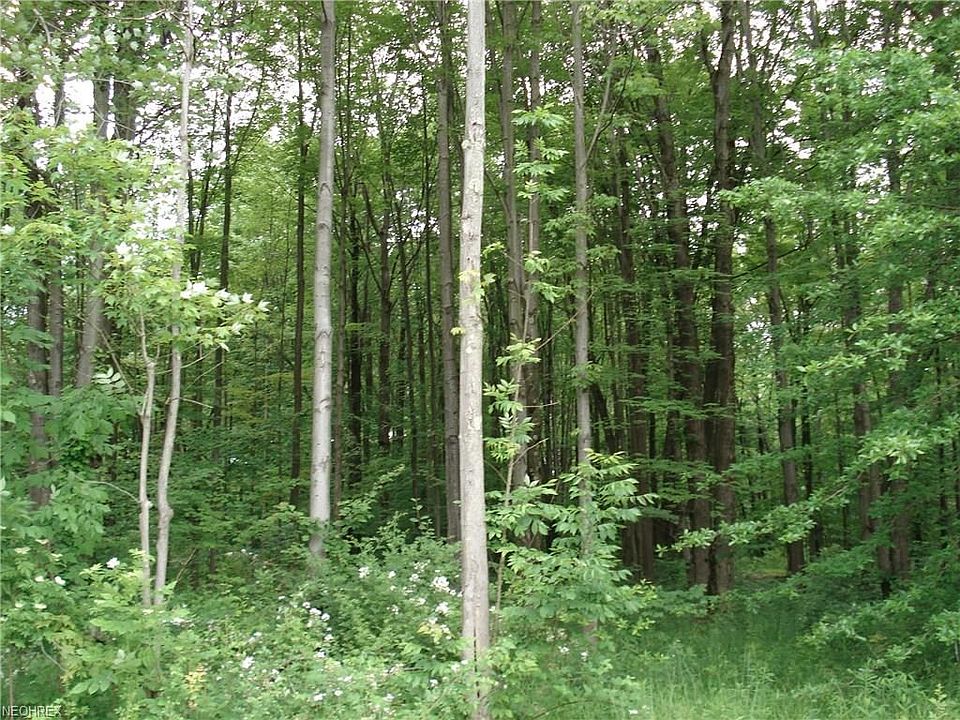 1st image of 554 Penny Ln