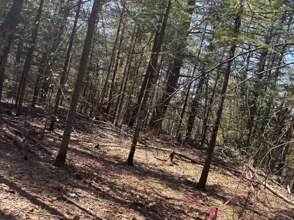 0 Kirkpatrick Ln, Bracebridge, ON P1L 1X1