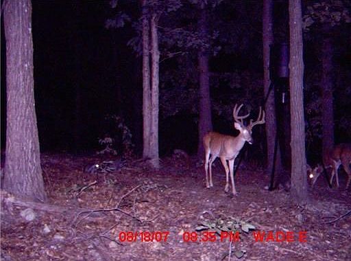 2nd image of 21356 Sibley Rd