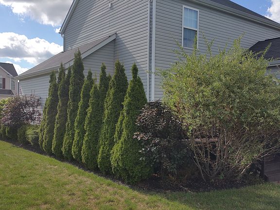 3rd image of 1825 Avenbury Ln