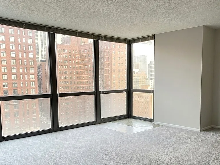 1122 N Clark St #1607 — Photo 4