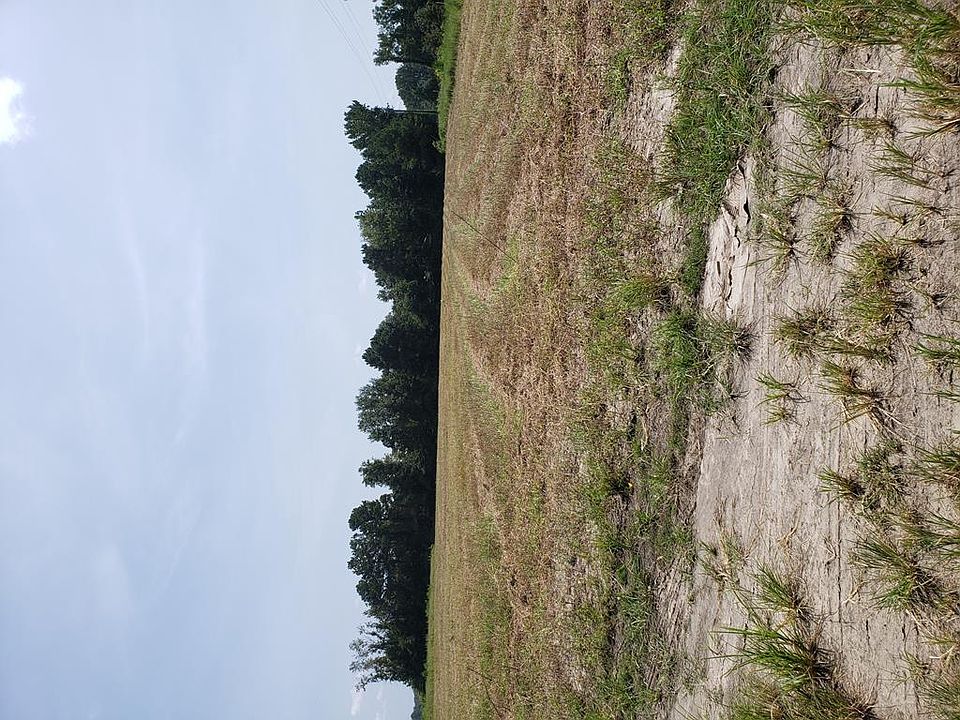 2nd image of 4215 Cotton Acres Rd
