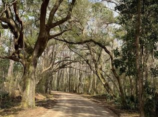 0 Mary Seabrook Rd, Edisto Island, SC 29438
