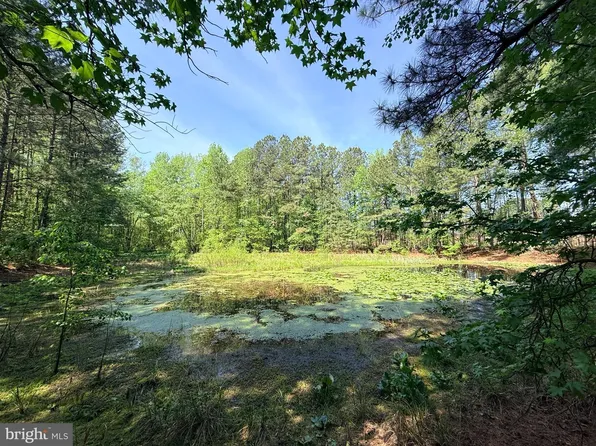 Sturgeon Rd, Lawrenceville, VA 23868