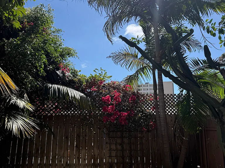 2600 Torrey Pines Rd #B19 — Photo 4