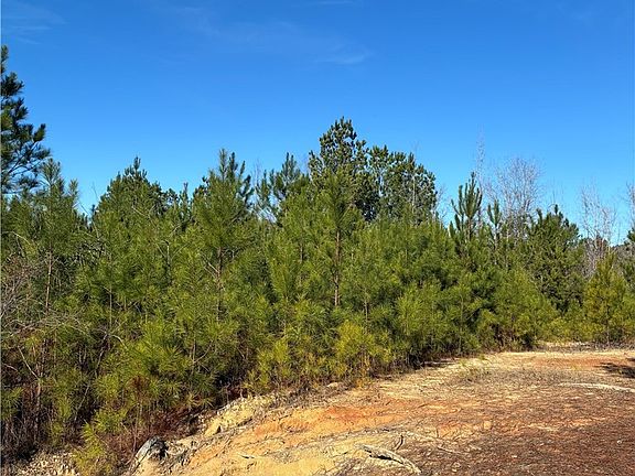 2nd image of 0 Upper Columbus Rd