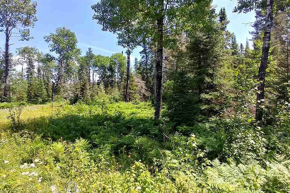 1st image of XXX Johnson Creek Dr
