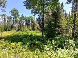 Xxx Johnson Creek Dr, Ely, MN 55731
