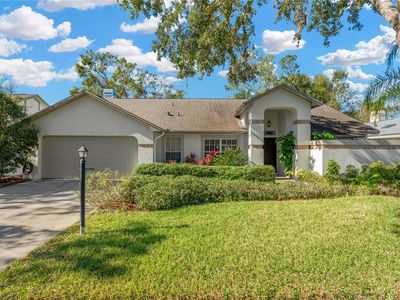 15834 Glenarn Dr, Tampa, FL, 33618