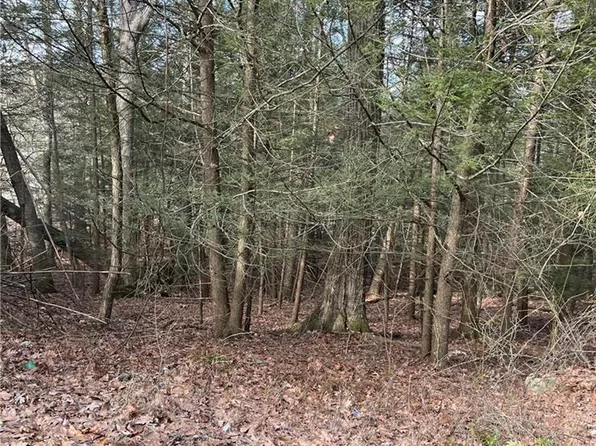 2287 Locust Ridge Rd #5, Pocono Lake, PA 18347