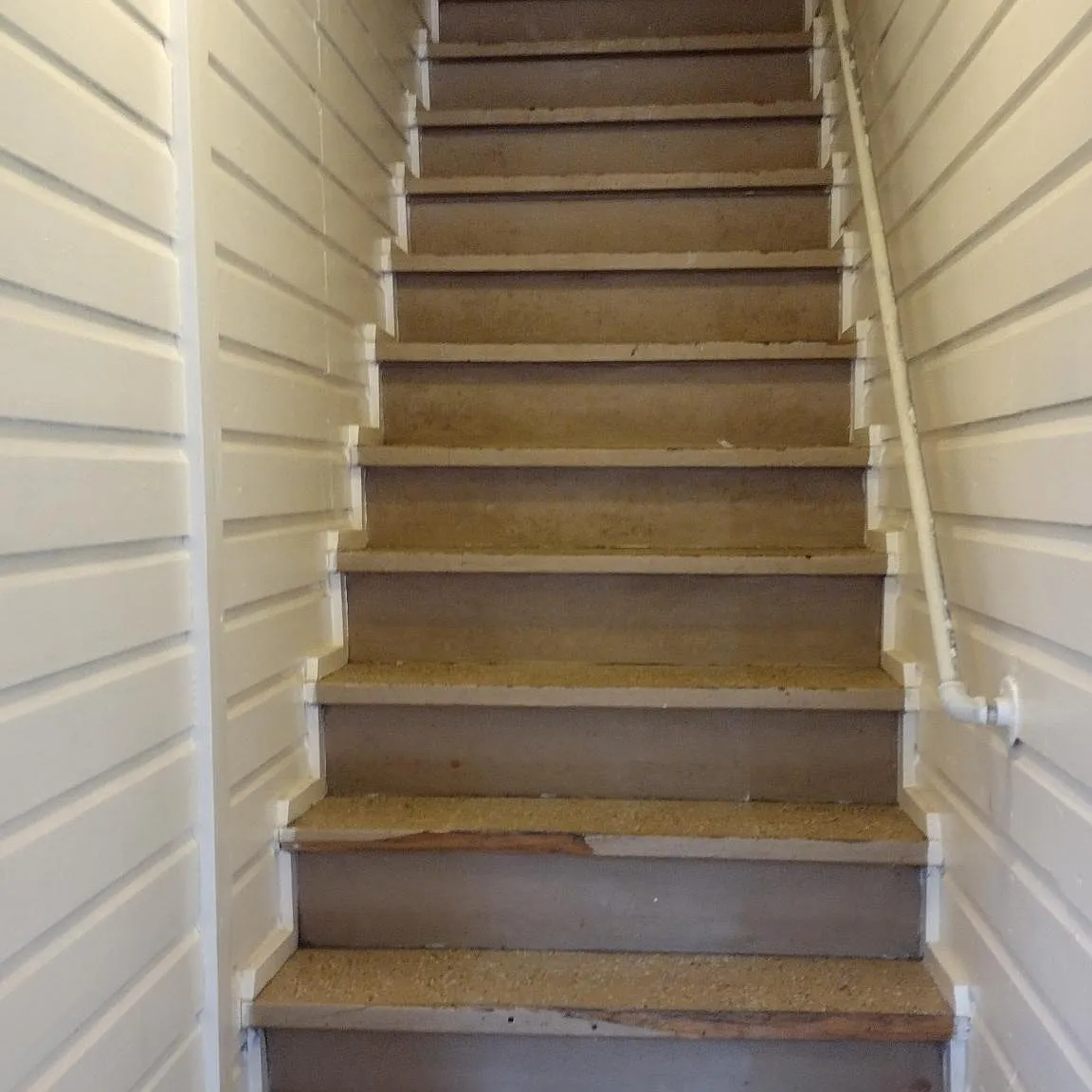 1 bed, $850 — Photo 2