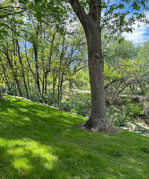 349 W Jamison Cir — Photo 5