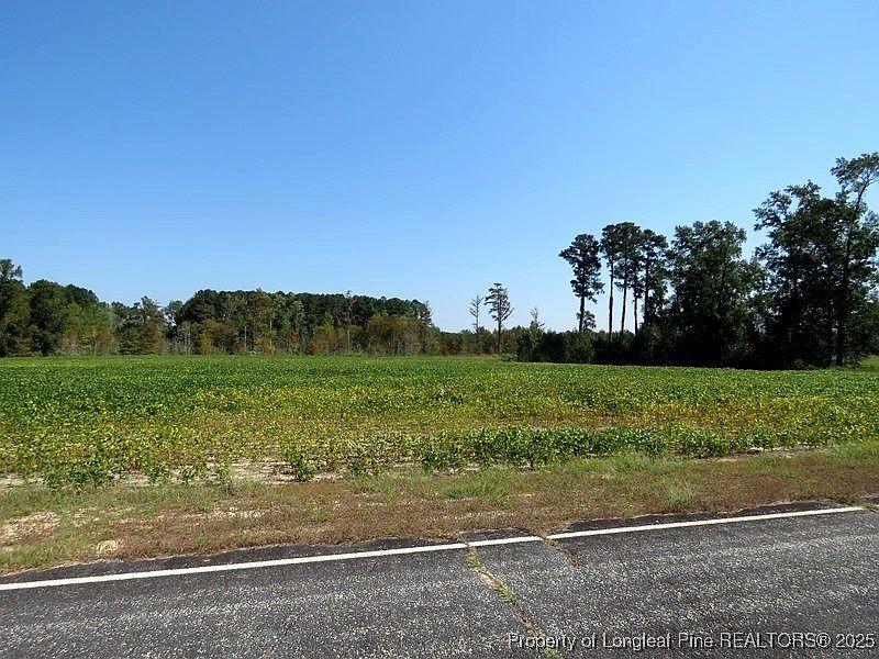 2nd image of Cowpen Swamp Rd
