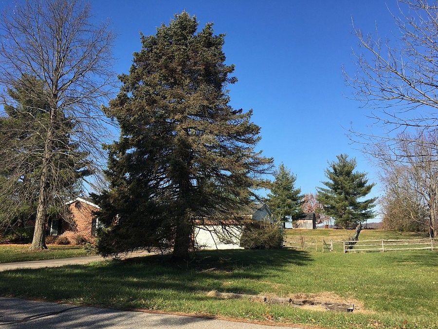 2nd image of 2678 Moeller Dr