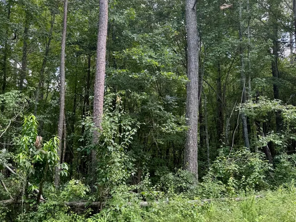 0 Cherokee Ln, Buchanan, GA 30113