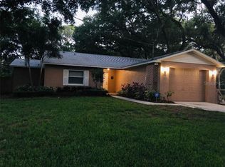 12916 W Selma Ave, Tampa, FL 33635