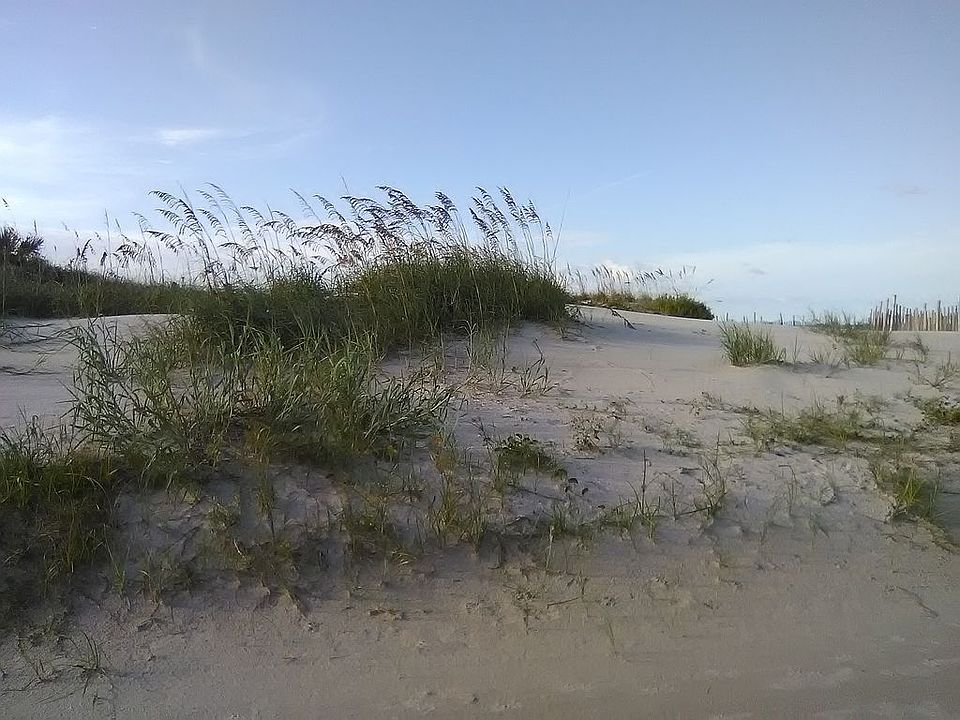 Beach end of Dondanville Rd 