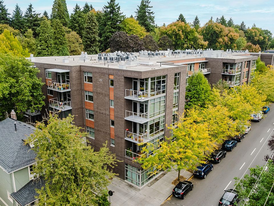 Tree-lined neighborhood