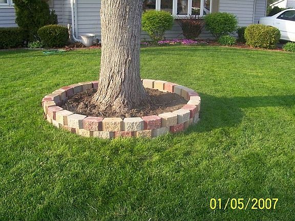 tree base front yard