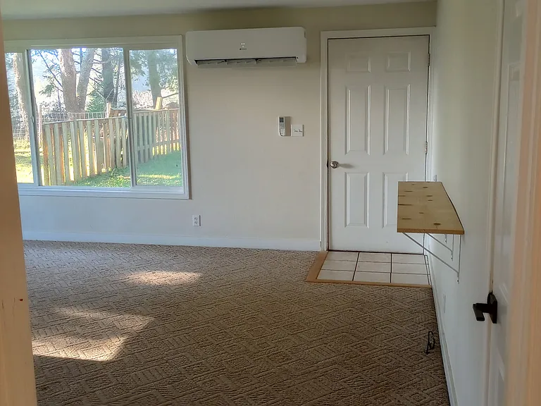 Mini-Split and coat closet in living room