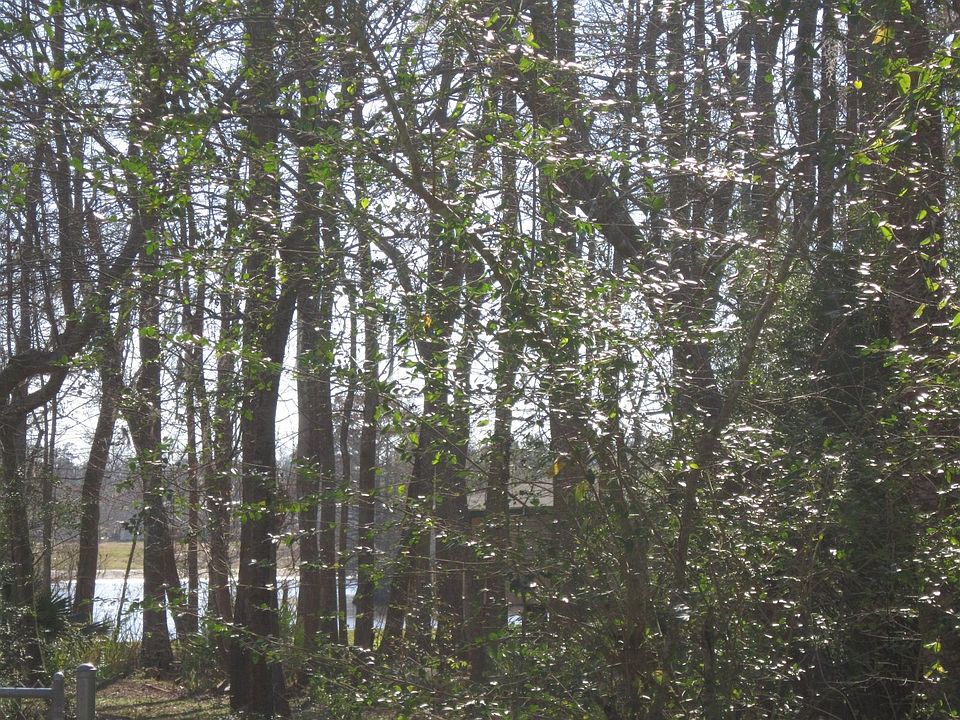 2nd image of 2822 S Pack Rd