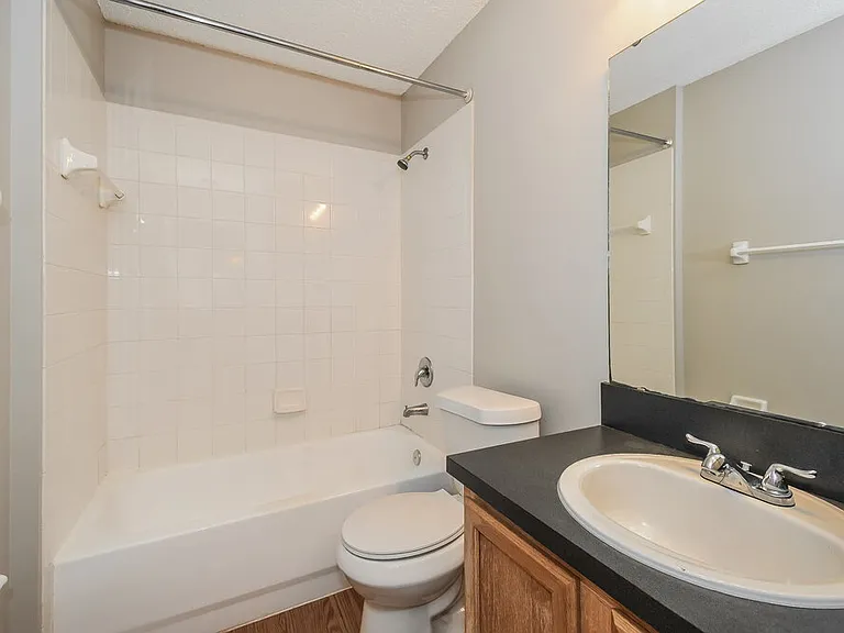 4323 Hanging Moss Dr — Photo 15