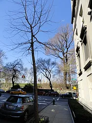 Rented by Prince Real Estate Associates LLC