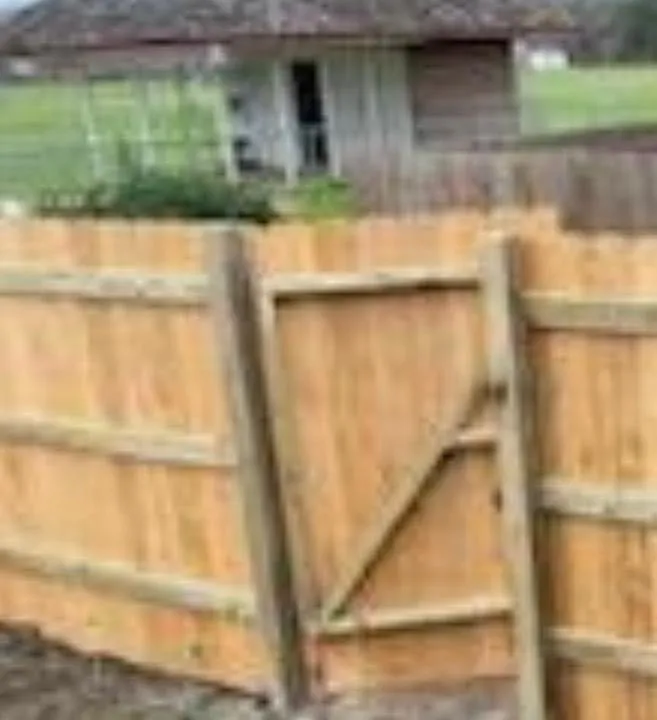 Back yard