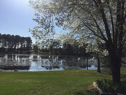Mallard Lake View 2