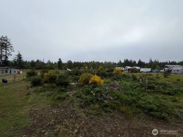 29880 T Lane, Ocean Park, WA 98640