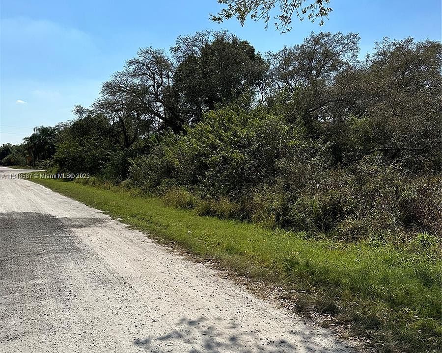 1st image of 75 Bald Cypress Ave