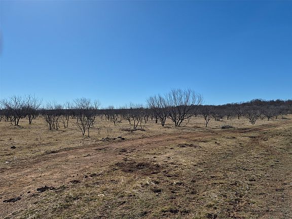 5th image of 474 White Rose Rd