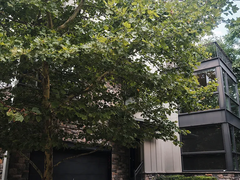 2076 Eric Shaefer Way — Photo 2