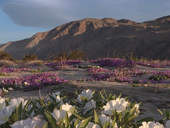 5th image of Old Aqueduct Rd