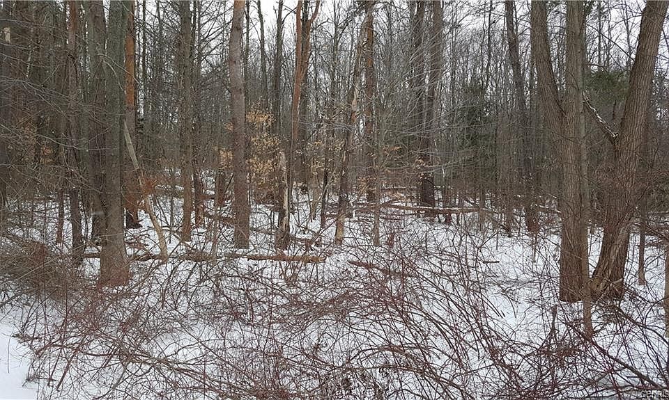 2nd image of 7180 Furnace Rd
