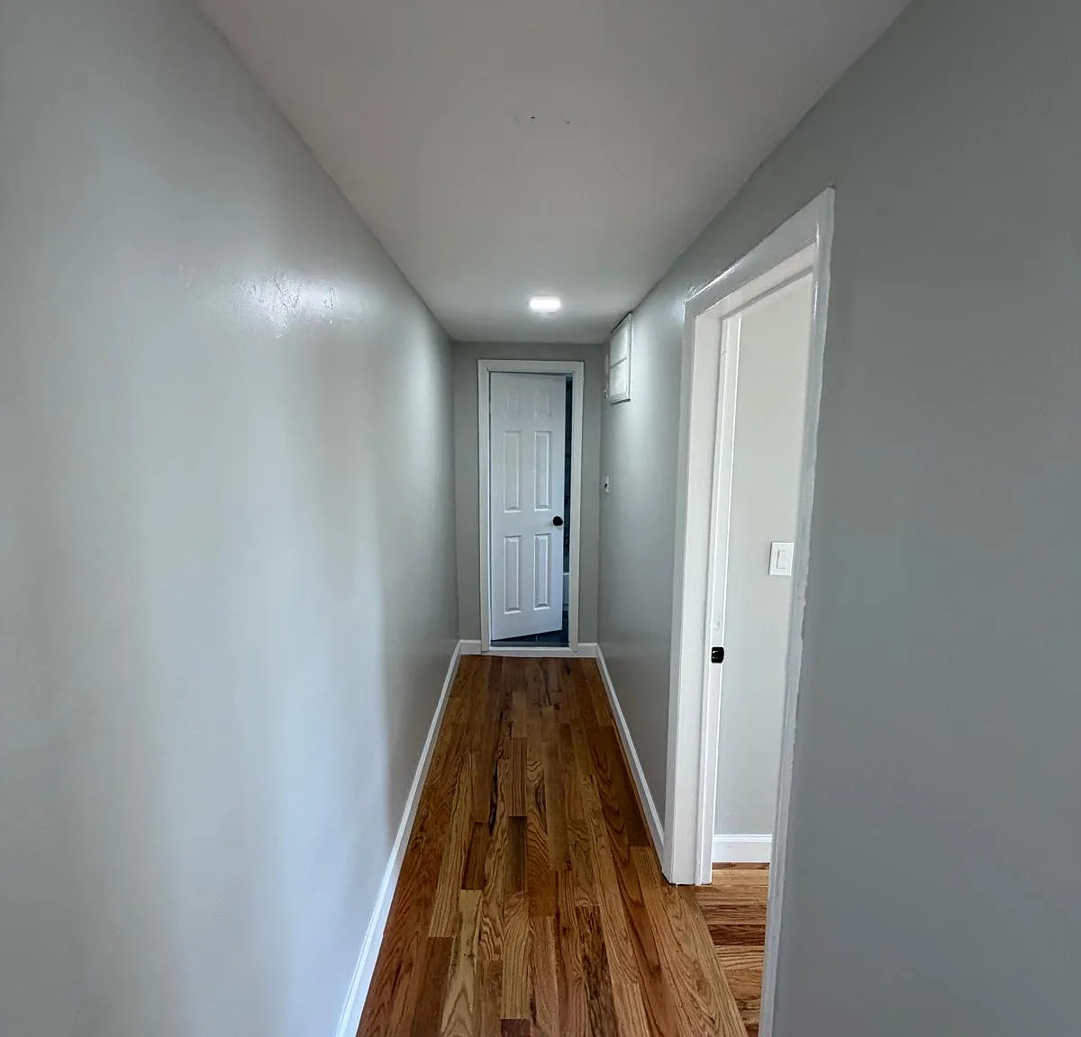 1 bed, $1,550 — Photo 3