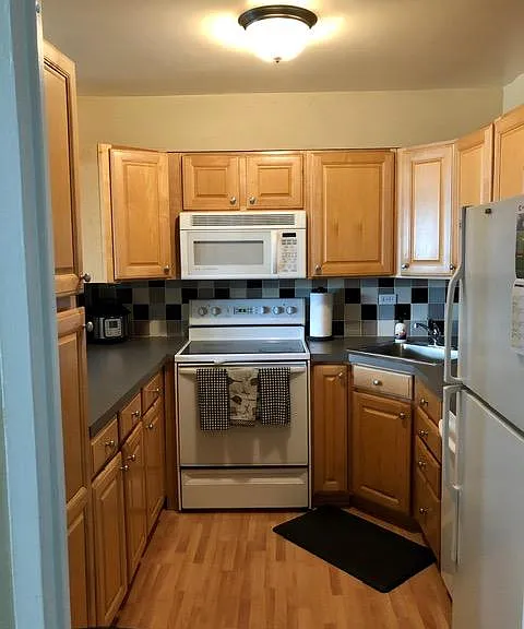 1560 N Sandburg Ter #803 — Photo 8