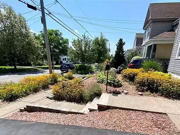 Driveway View