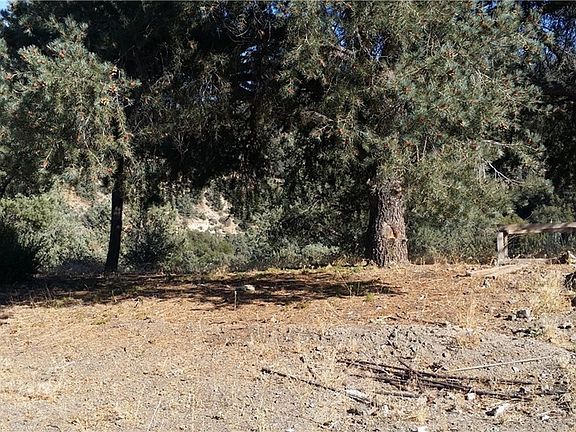 3rd image of 2316 Tirol Dr