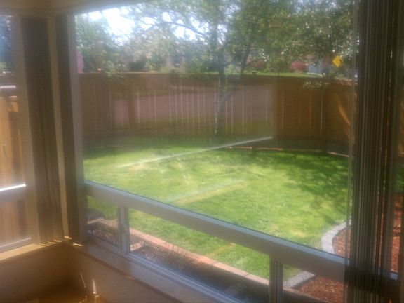 Living Room Backyard Window