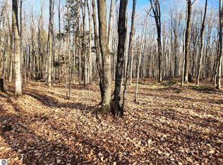 8460 Twin Lake Rd NE, Mancelona, MI 49659