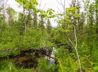 Gonder Rd, Interlochen, MI 49643