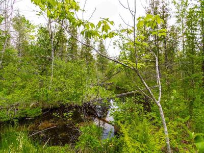 Gonder Rd, Interlochen, MI, 49643