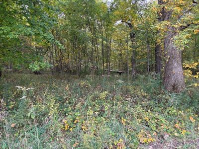 2569 E Us Highway 24, Sheldon, IL, 60966